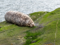 Isle of Skye